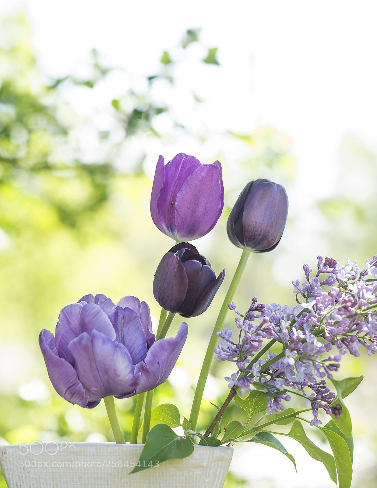 Nikon D600 sample photo. Purple bouquet photography