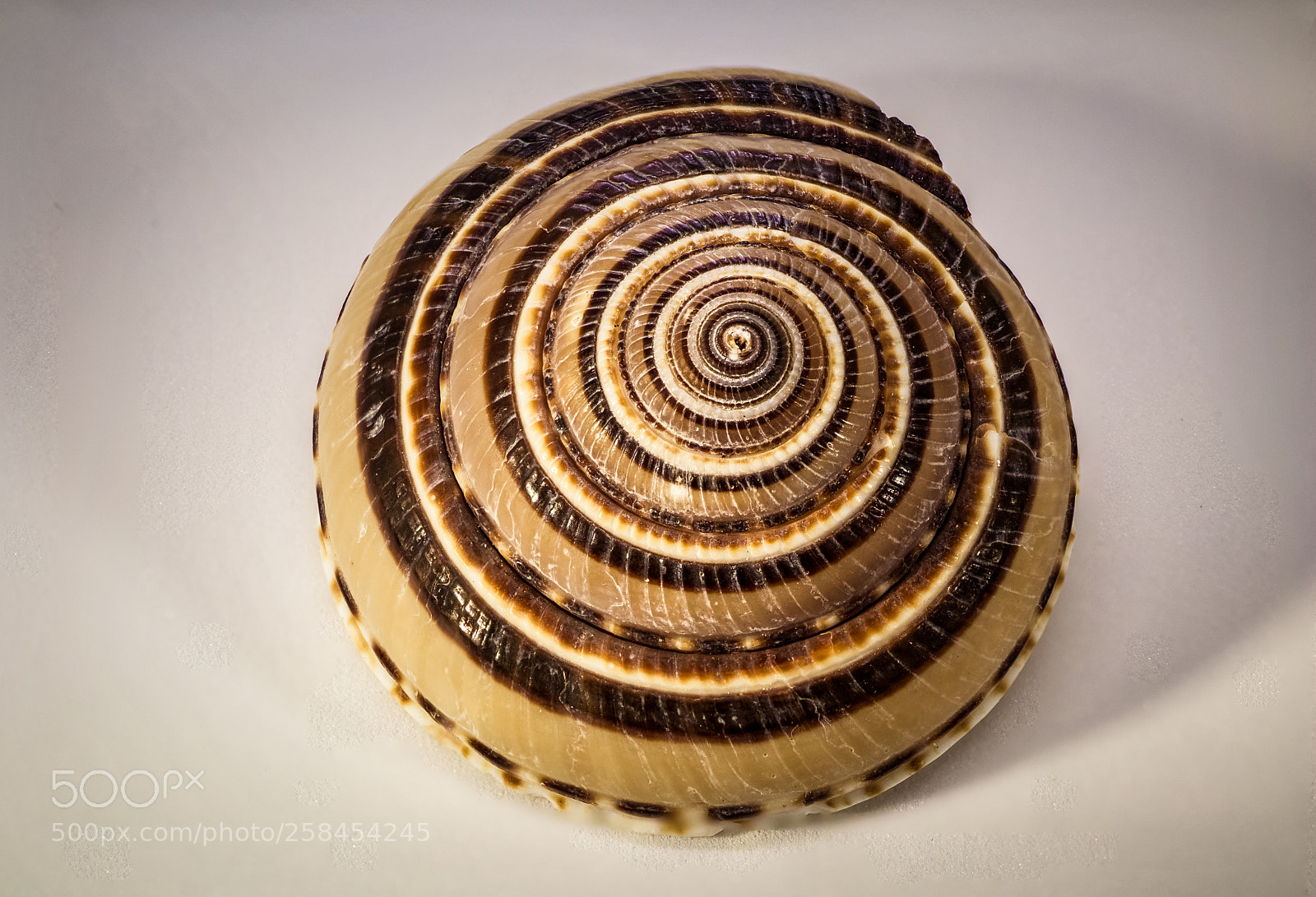 Canon EOS M50 (EOS Kiss M) sample photo. Schneckenhaus photography