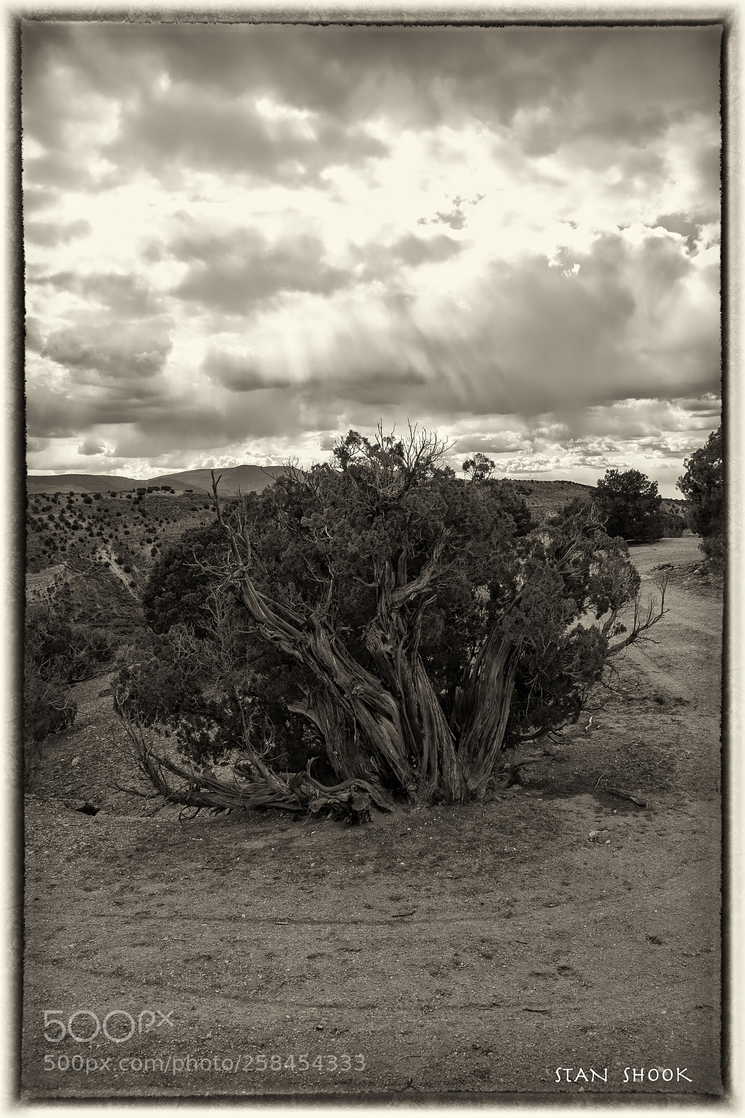 Canon EOS 6D Mark II sample photo. Unforgiving country photography