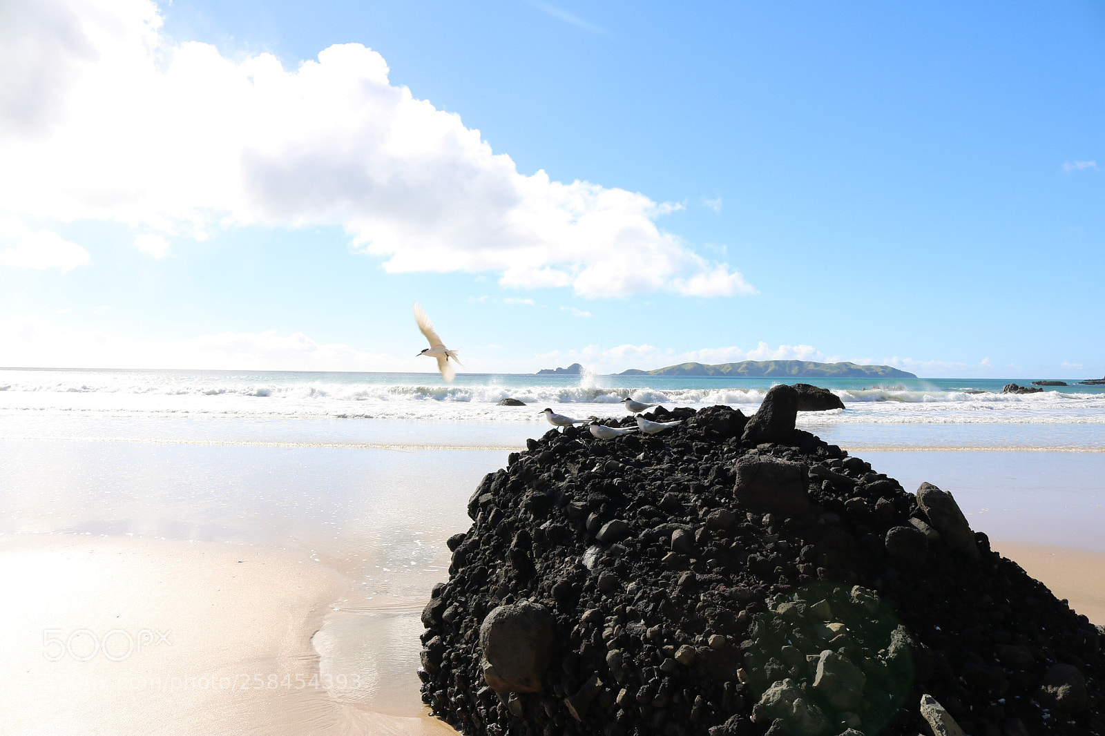 Canon EOS 750D (EOS Rebel T6i / EOS Kiss X8i) sample photo. Sunshine photography