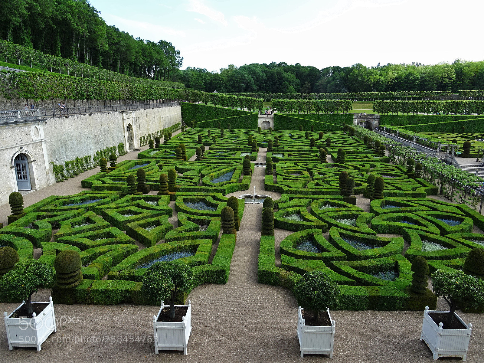Sony DSC-HX60 sample photo. Jardins renaissance photography