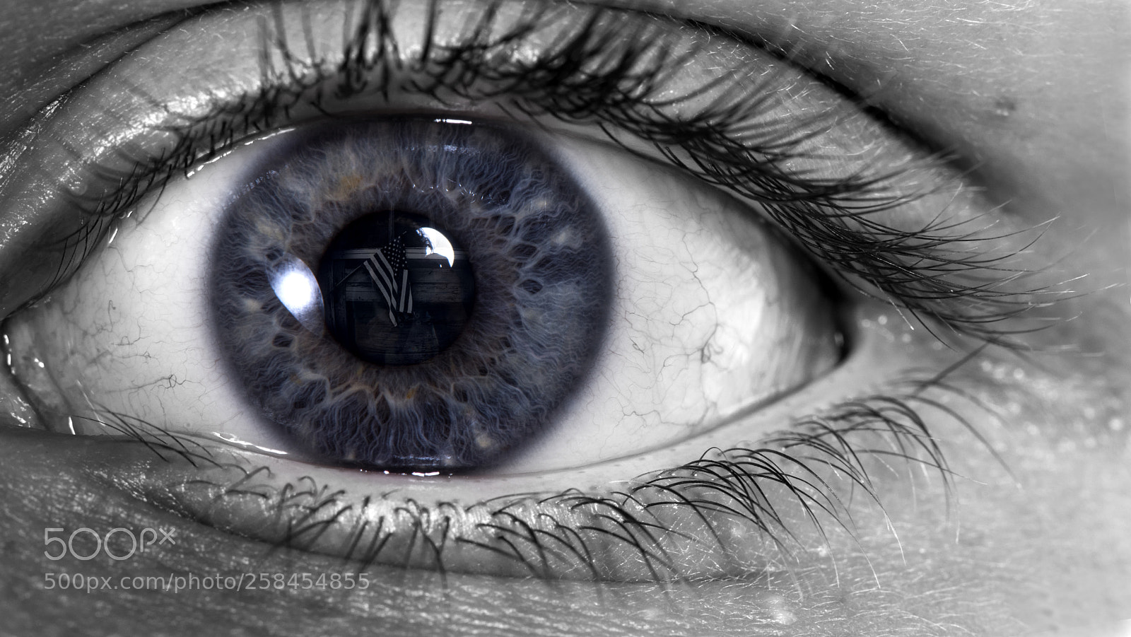 Nikon D810 sample photo. Eye portrait 8 photography