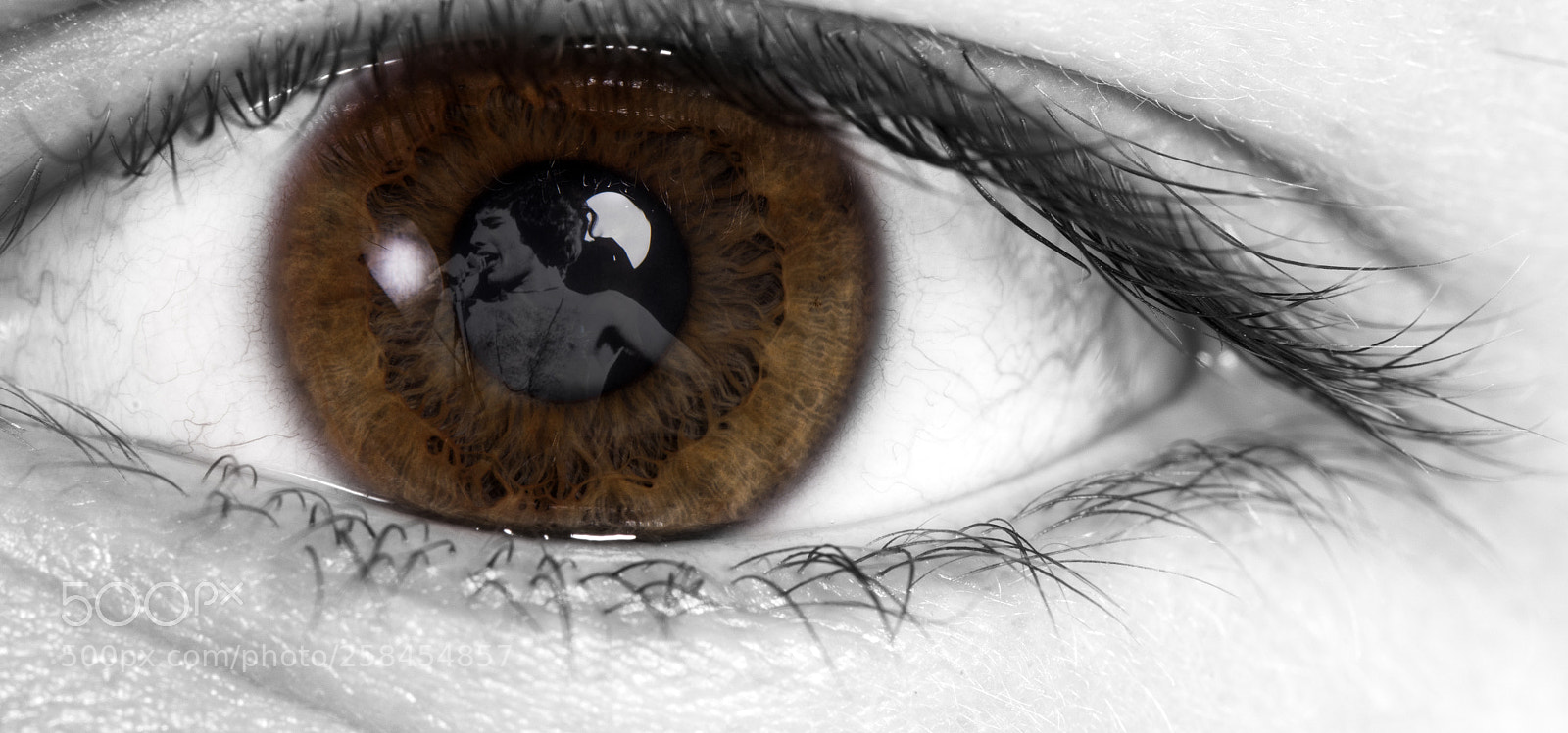 Nikon D810 sample photo. Eye portrait 9 photography