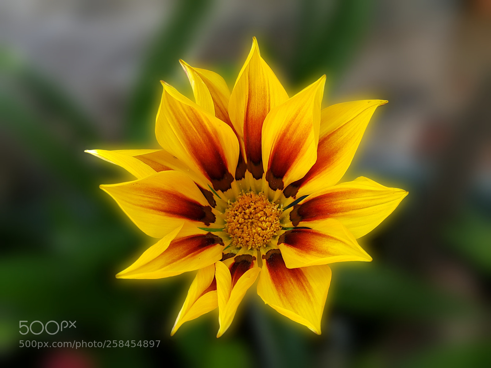 Samsung Galaxy Note4 sample photo. 314 photography