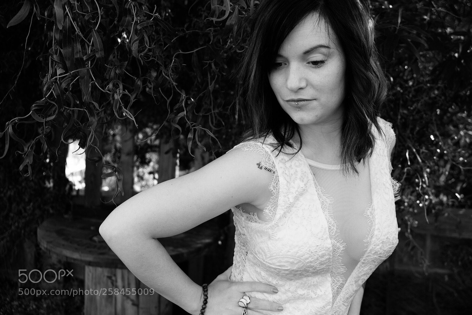 Fujifilm X-T2 sample photo. Untitled photography