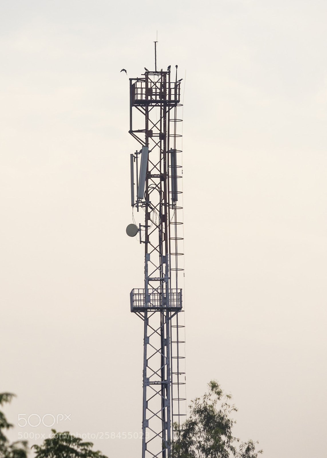 Canon EOS 200D (EOS Rebel SL2 / EOS Kiss X9) sample photo. Telecom tower in rural photography