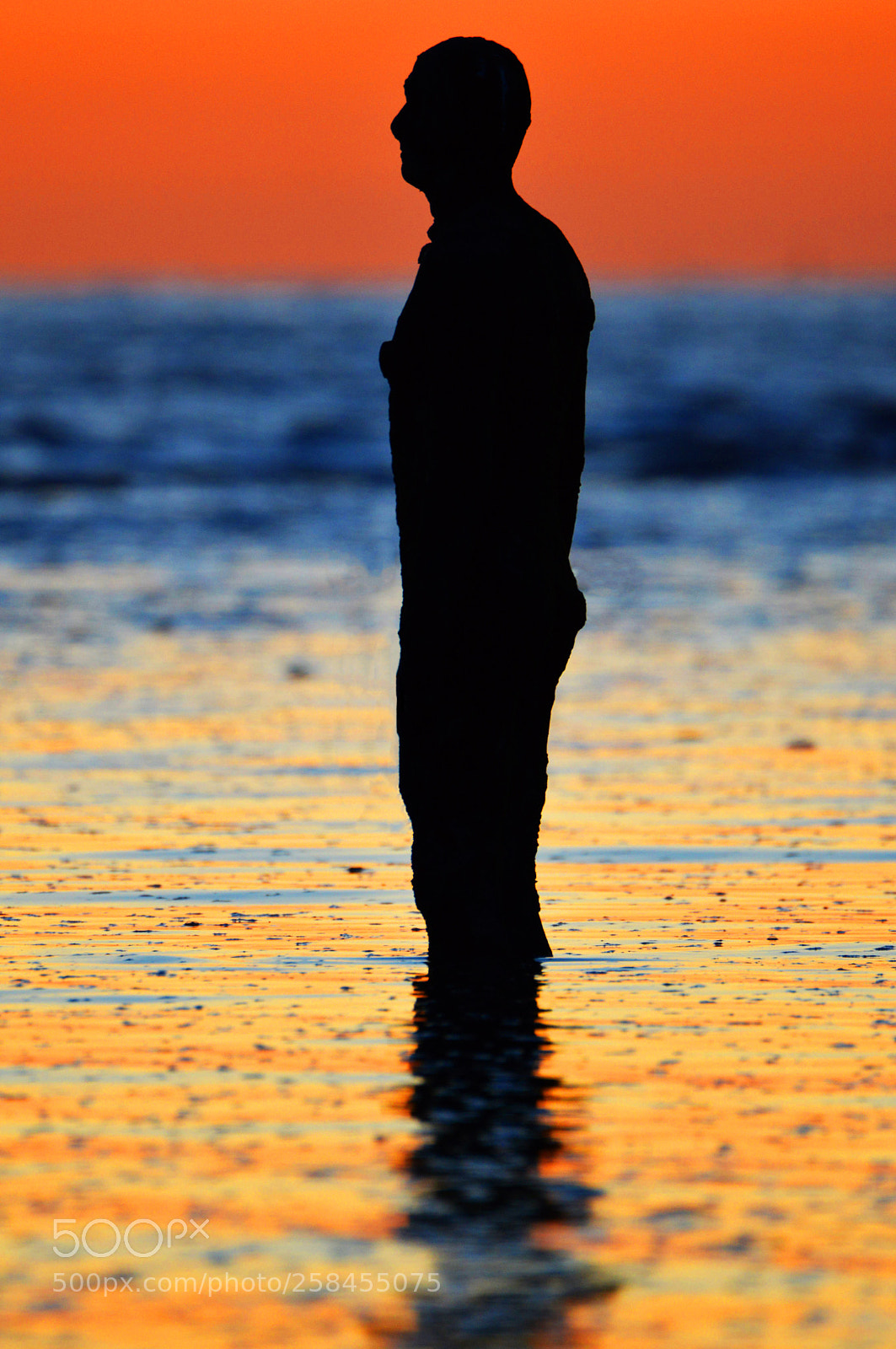 Nikon D3200 sample photo. Silhouette photography