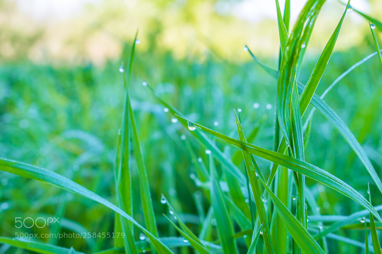 Nikon D5300 sample photo. Untitled photography