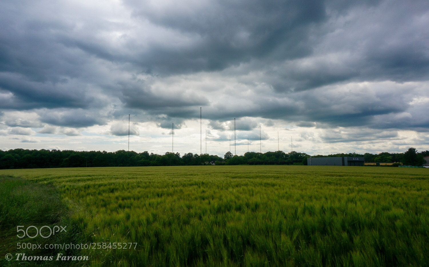 Sony Alpha NEX-6 sample photo. Untitled photography
