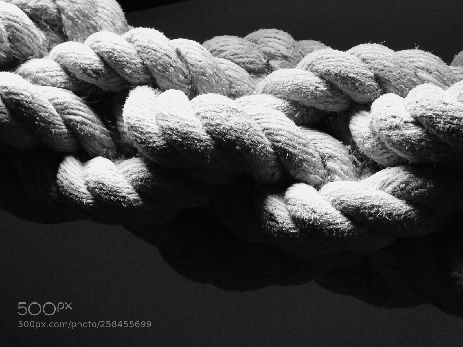 Panasonic DMC-TZ61 sample photo. Rope photography