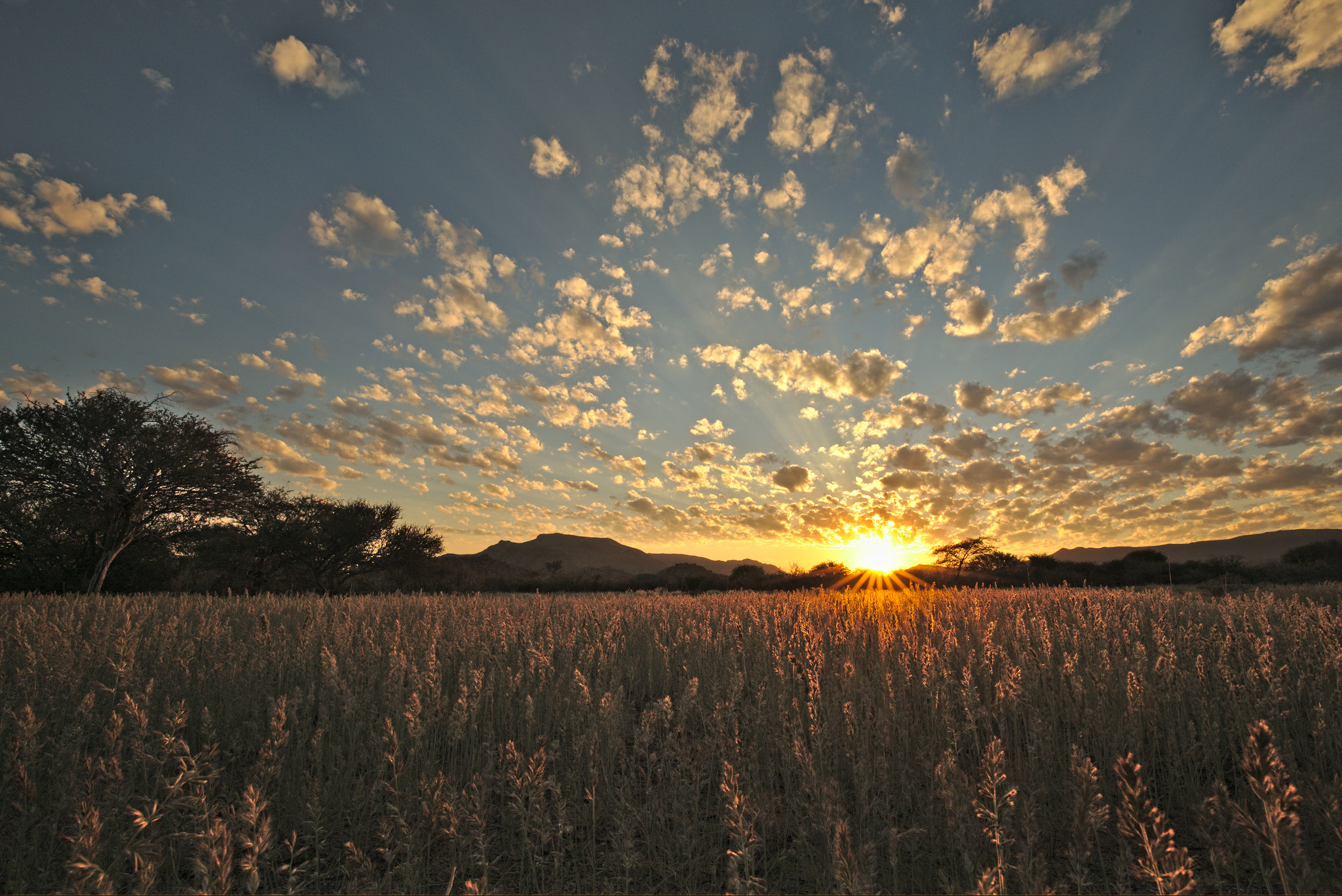 Canon EF 16-35mm F4L IS USM sample photo. Sunrise in omandumba (namibia) photography