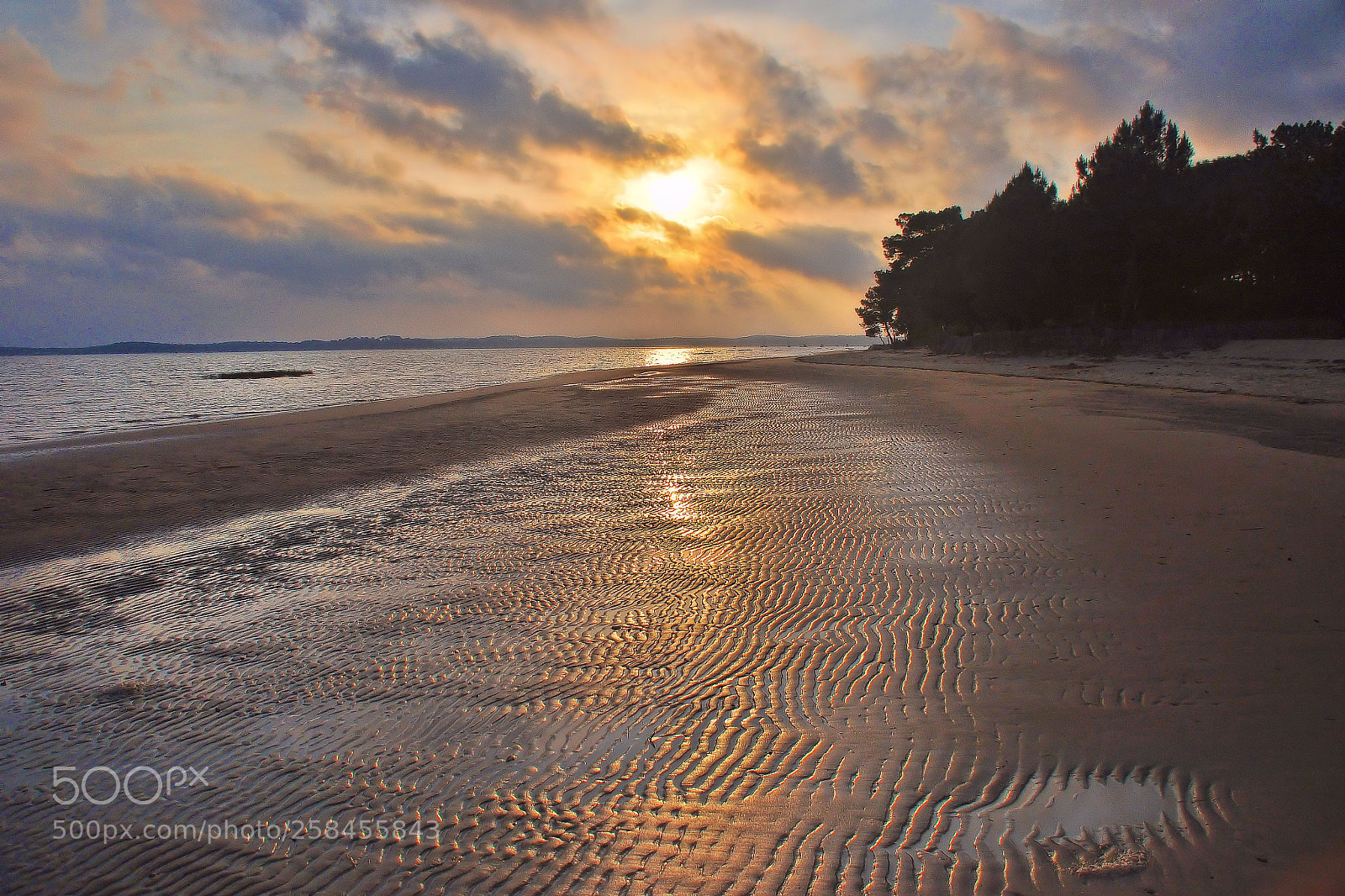 Nikon D90 sample photo. Sunset in ares photography
