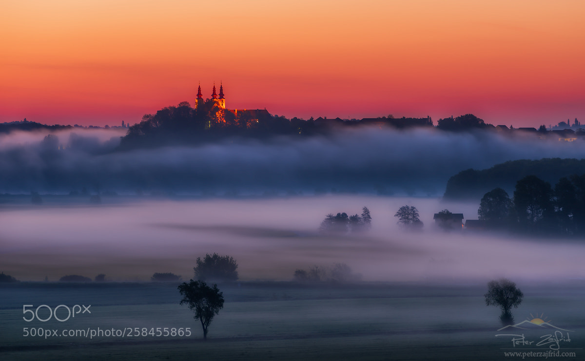 Nikon D810 sample photo. Misty spring photography