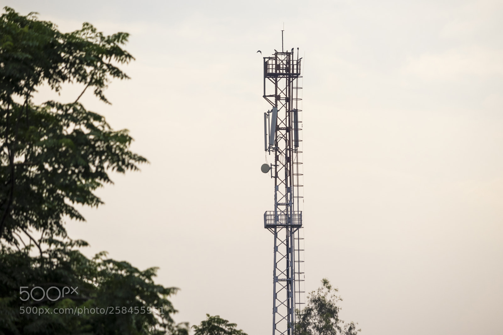 Canon EOS 200D (EOS Rebel SL2 / EOS Kiss X9) sample photo. Telecom tower in rural photography