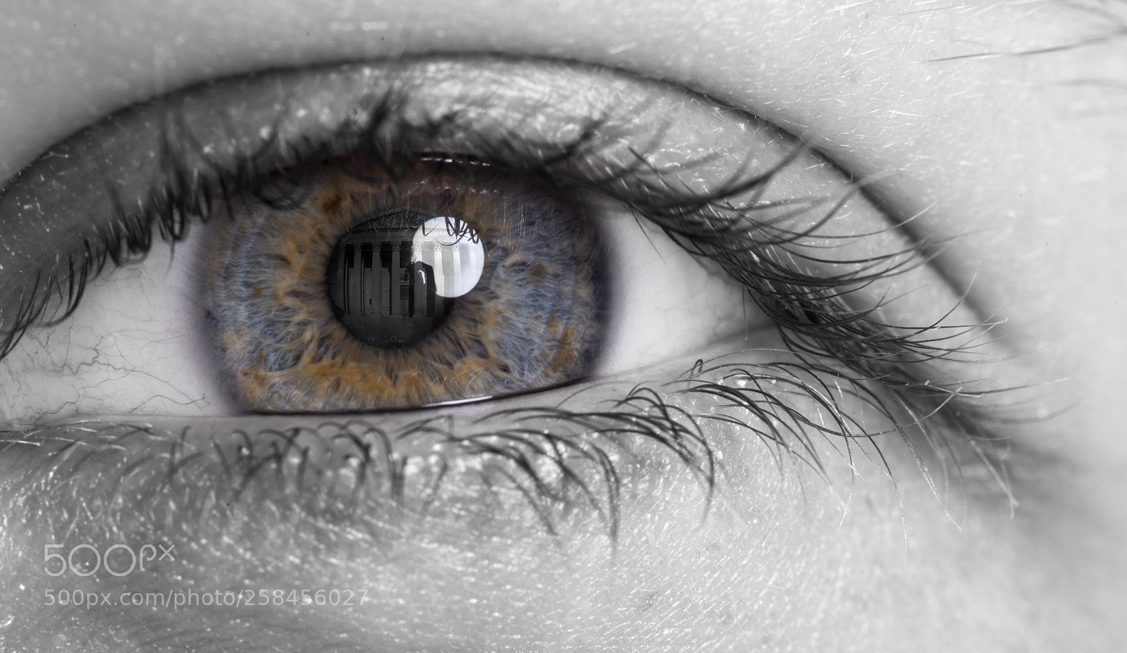 Nikon D810 sample photo. Eye portrait 11 photography