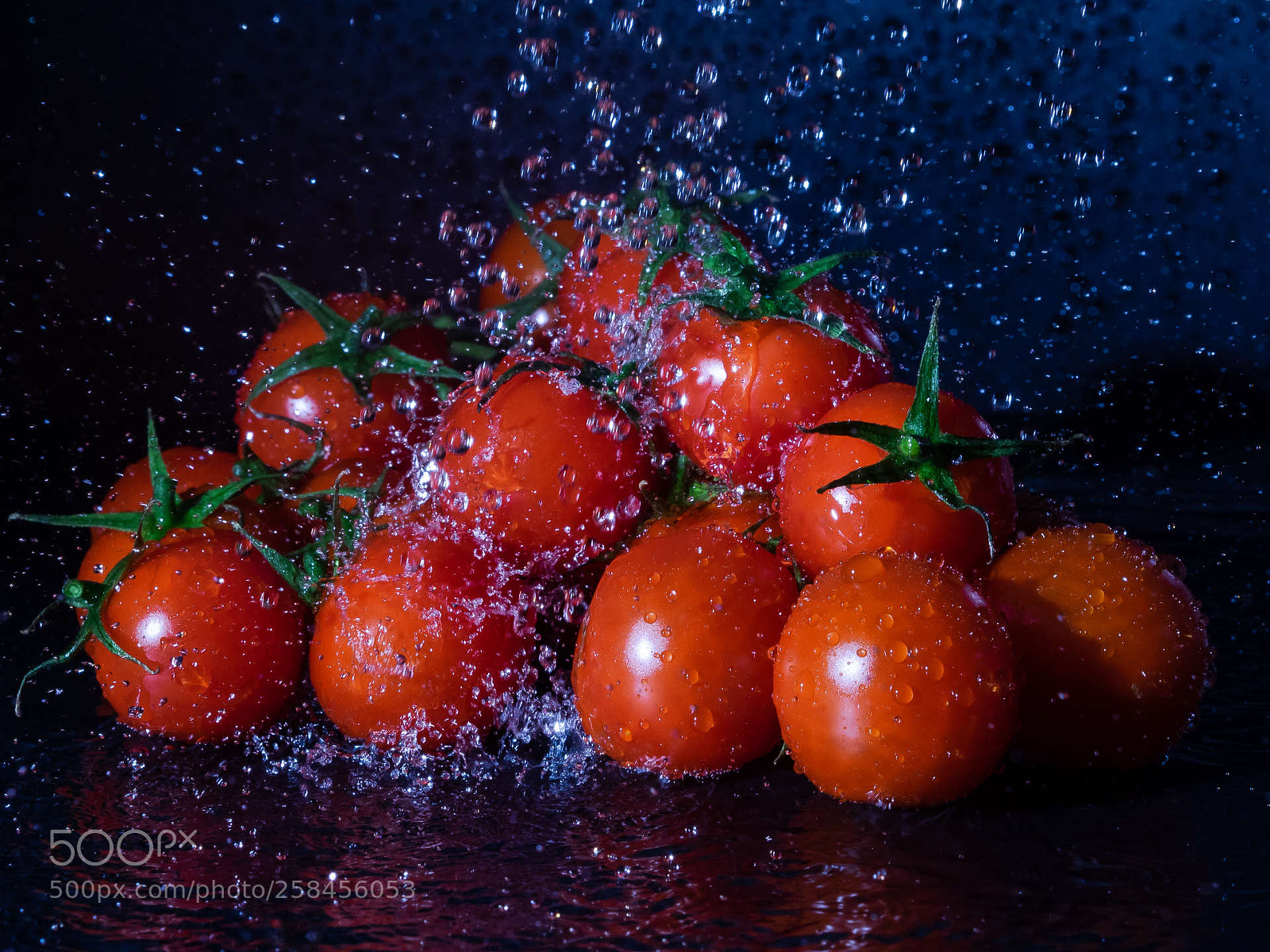 Olympus OM-D E-M1 sample photo. Cherrytomatoes having a shower photography