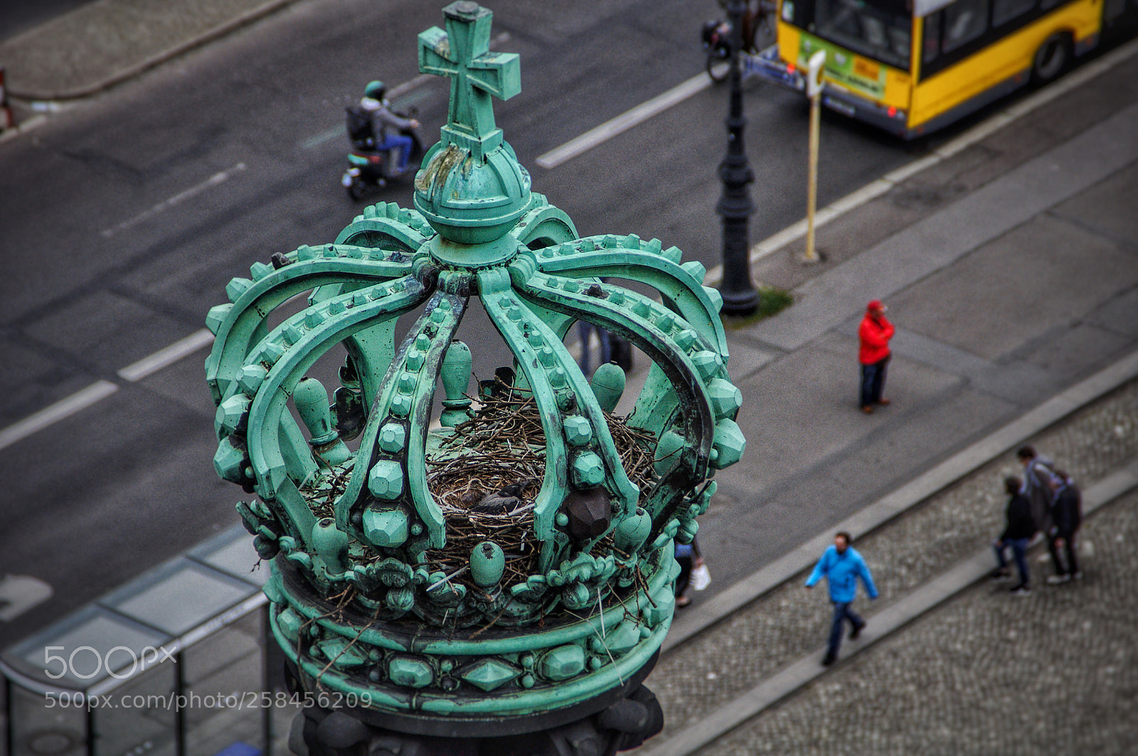 Nikon D90 sample photo. Berliner dom mit vogelnest photography