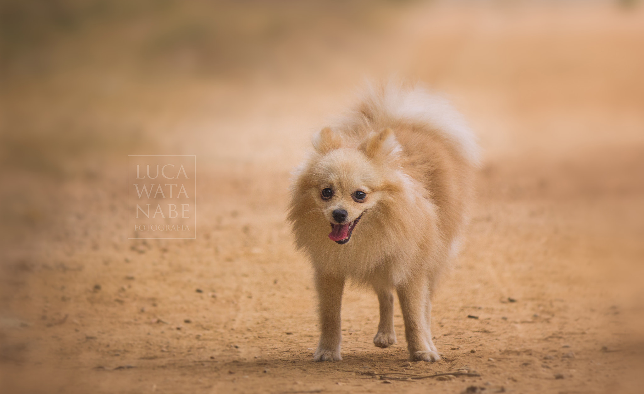 Canon EOS 600D (Rebel EOS T3i / EOS Kiss X5) sample photo. Nina photography