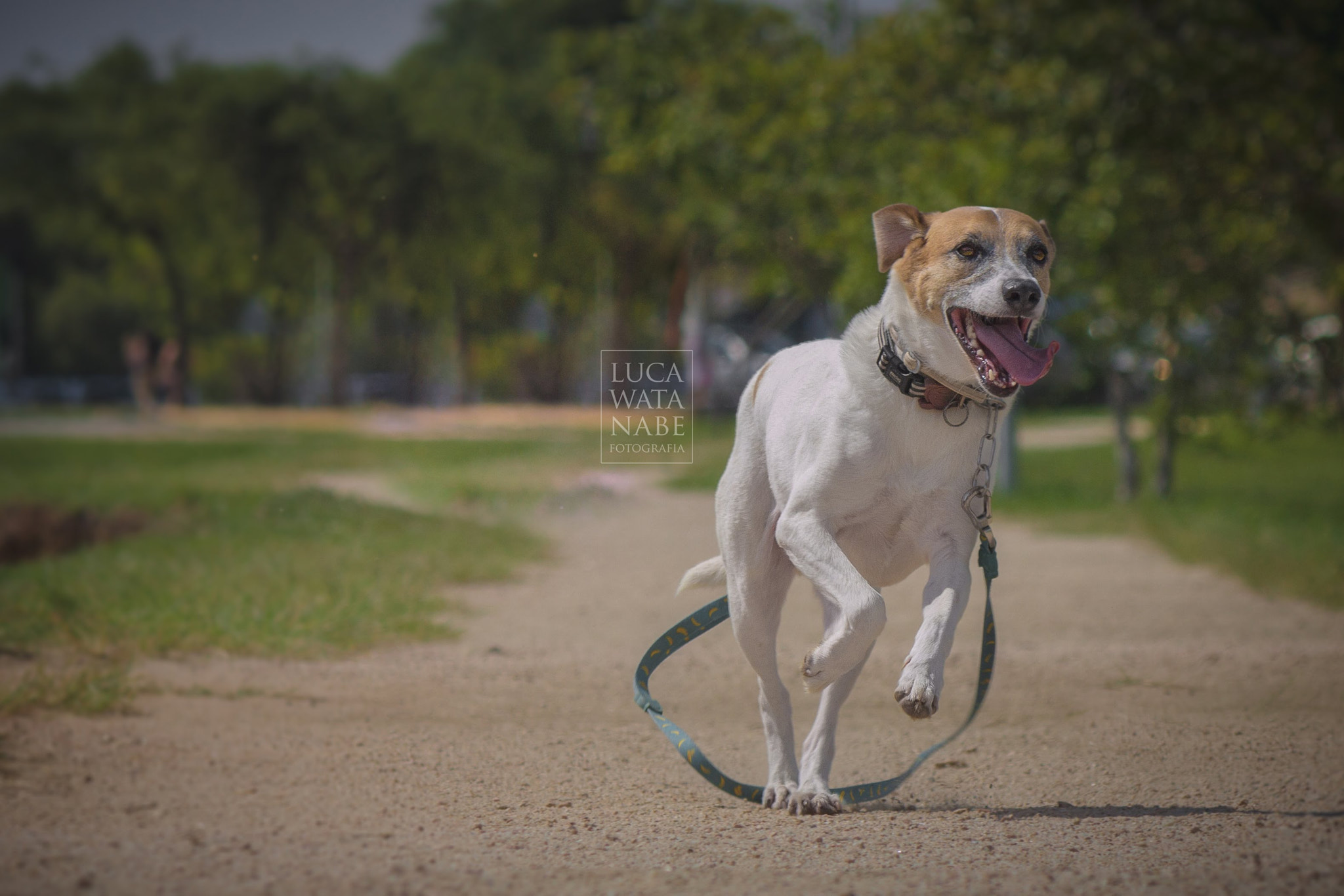 Canon EOS 600D (Rebel EOS T3i / EOS Kiss X5) sample photo. Mailon photography