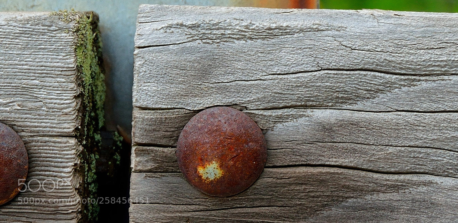 Nikon D3200 sample photo. Untitled photography
