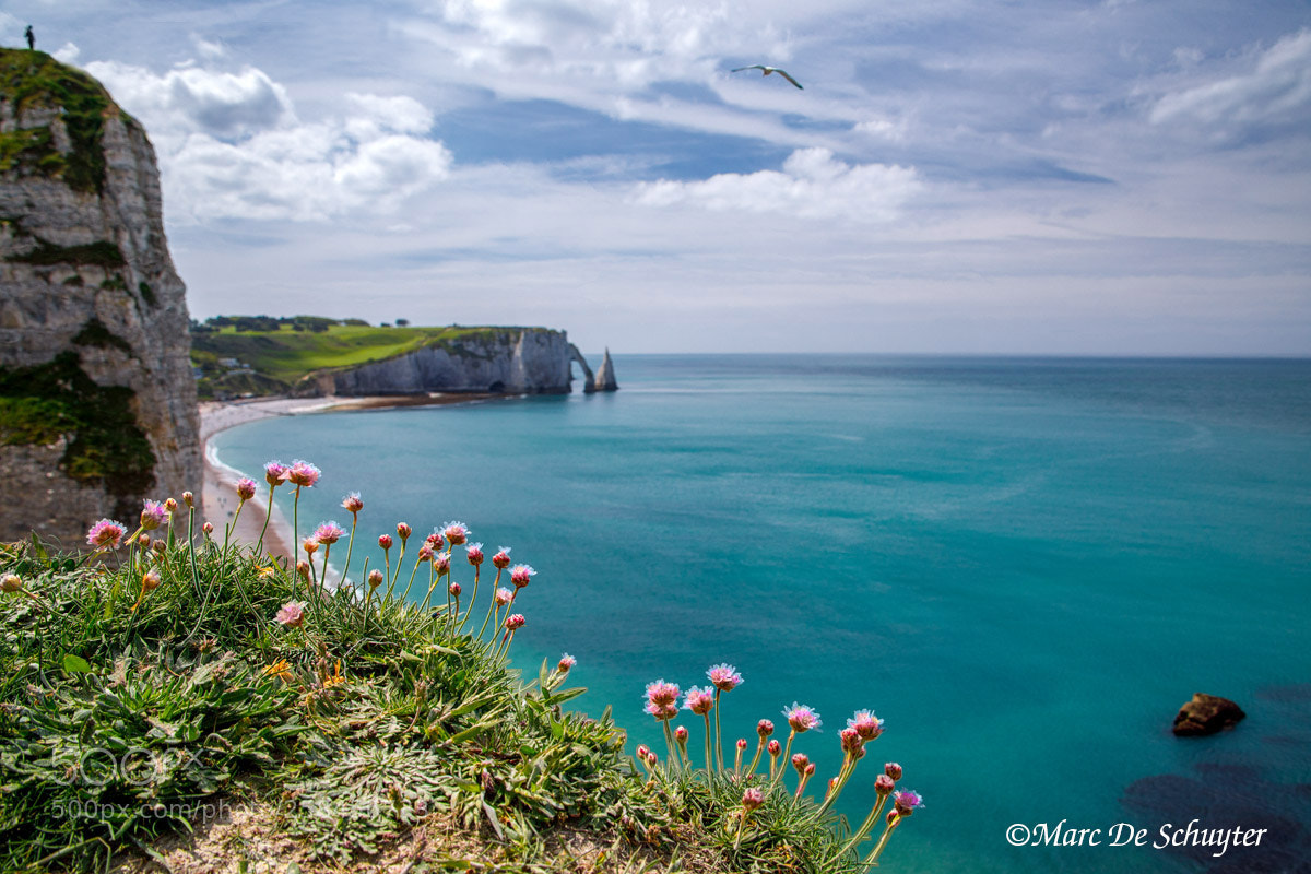 Canon EOS 5D Mark IV sample photo. Porte d'aval normandy photography