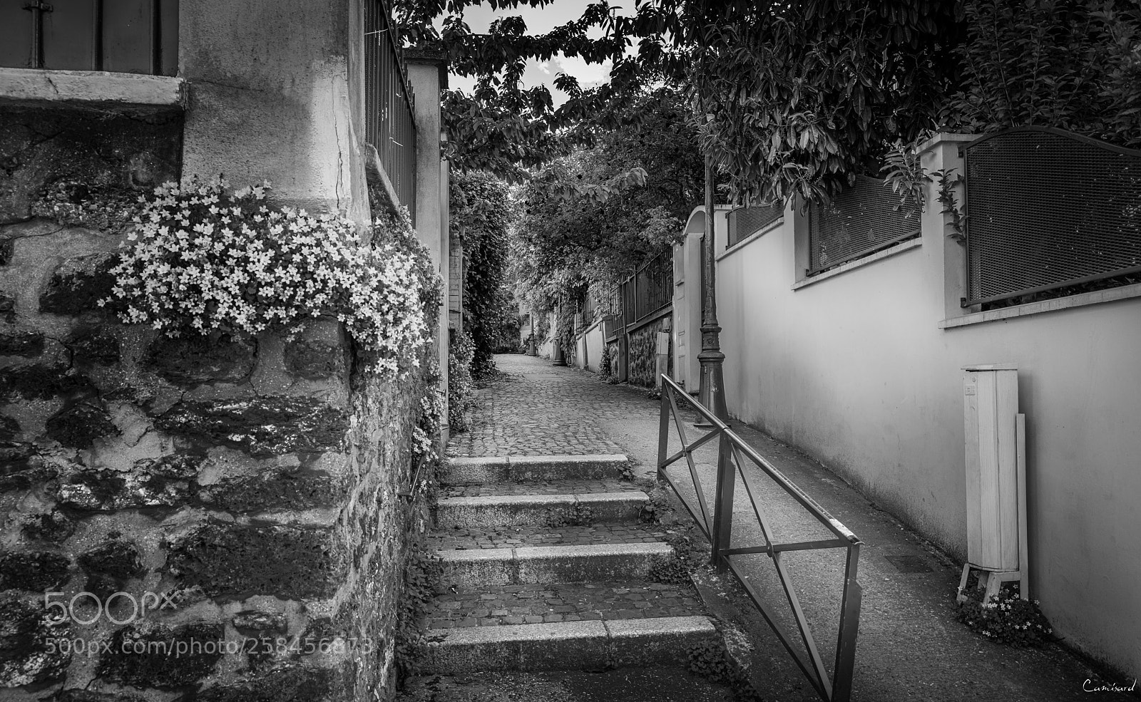 Nikon D800 sample photo. Paris - mouzaïa #1 photography
