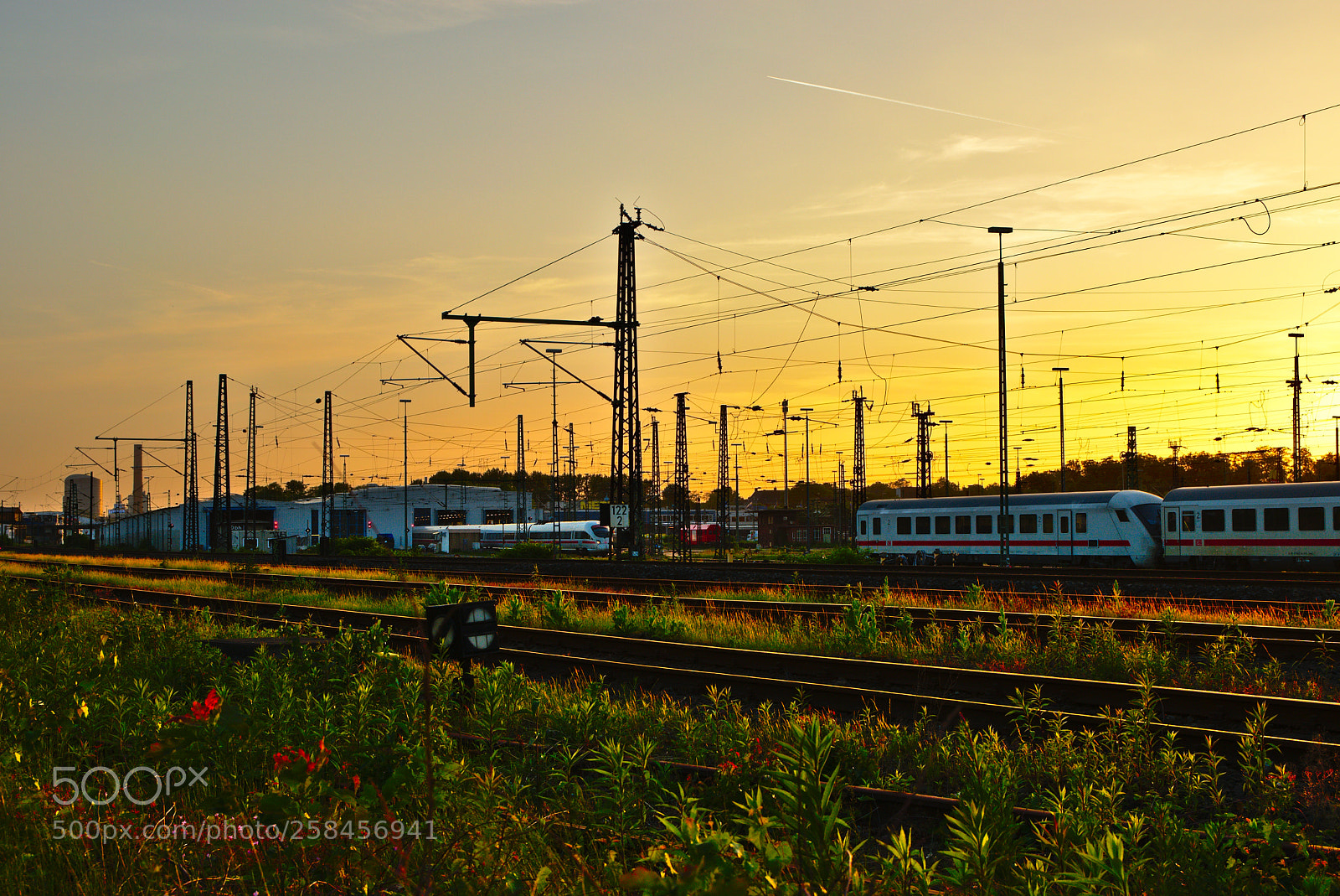 Nikon D5600 sample photo. Sunset & trains photography