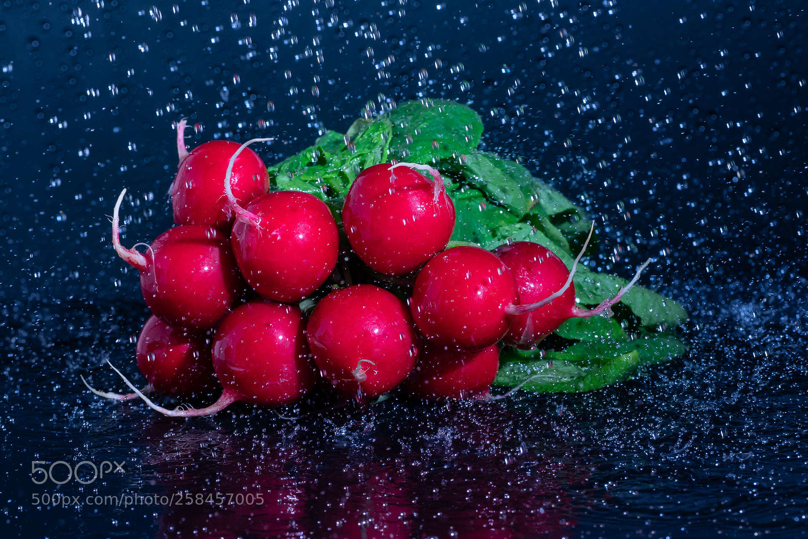 Olympus OM-D E-M1 sample photo. Radish having a shower photography
