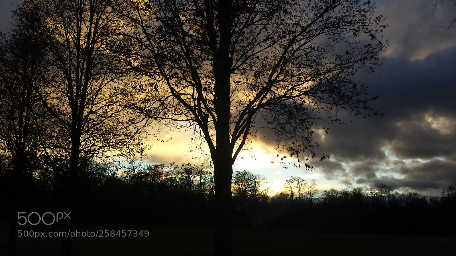 Samsung Galaxy S4 sample photo. Untitled photography