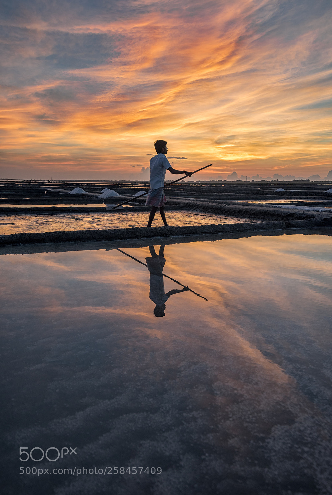Nikon D750 sample photo. Gathering my salt photography