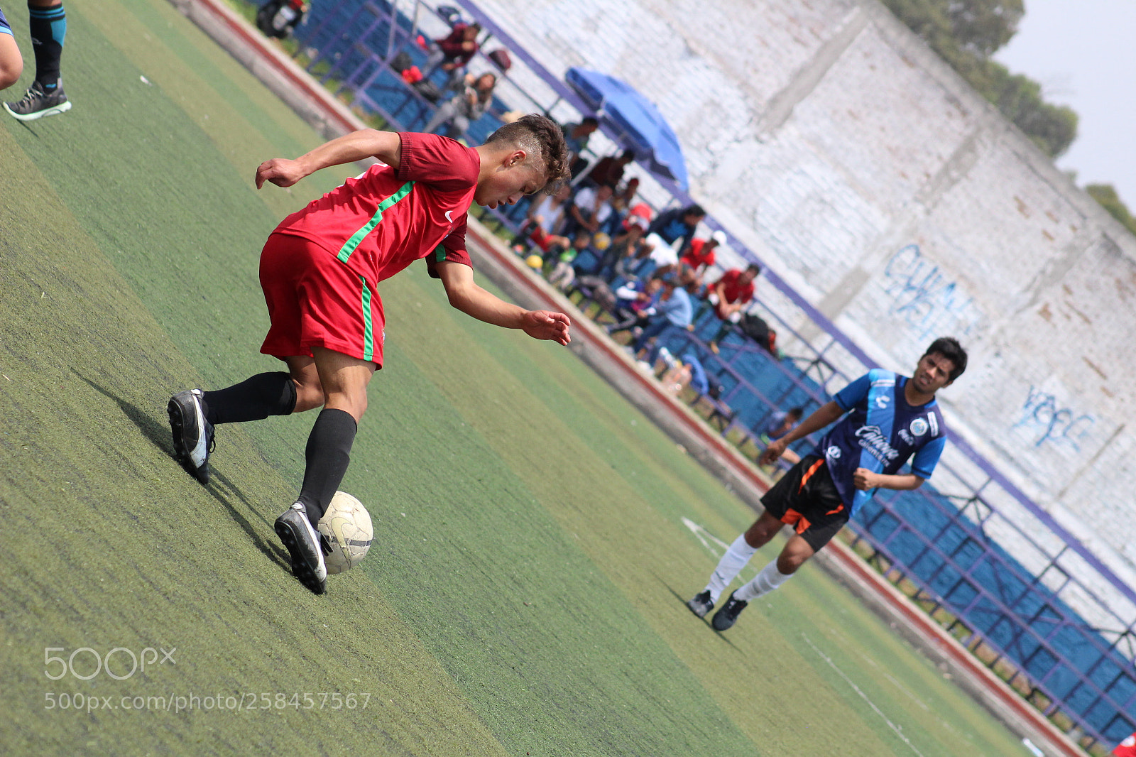 Canon EF 75-300mm f/4-5.6 sample photo. Img photography