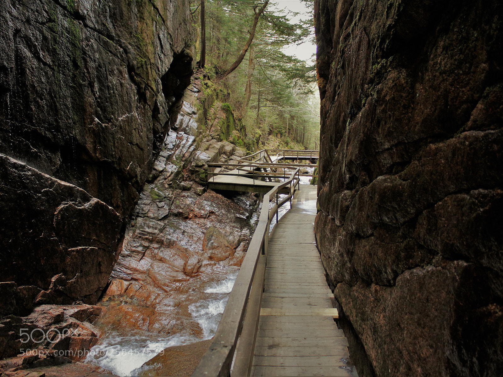 Canon EOS 1300D (EOS Rebel T6 / EOS Kiss X80) sample photo. The flumes photography