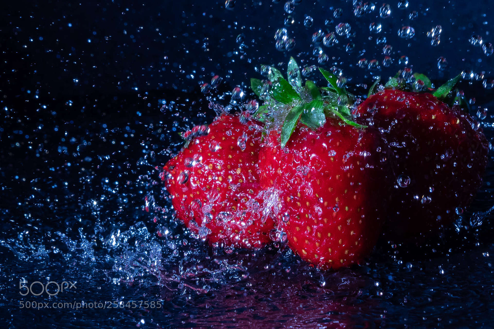 Olympus OM-D E-M1 sample photo. Strawberries having a shower photography