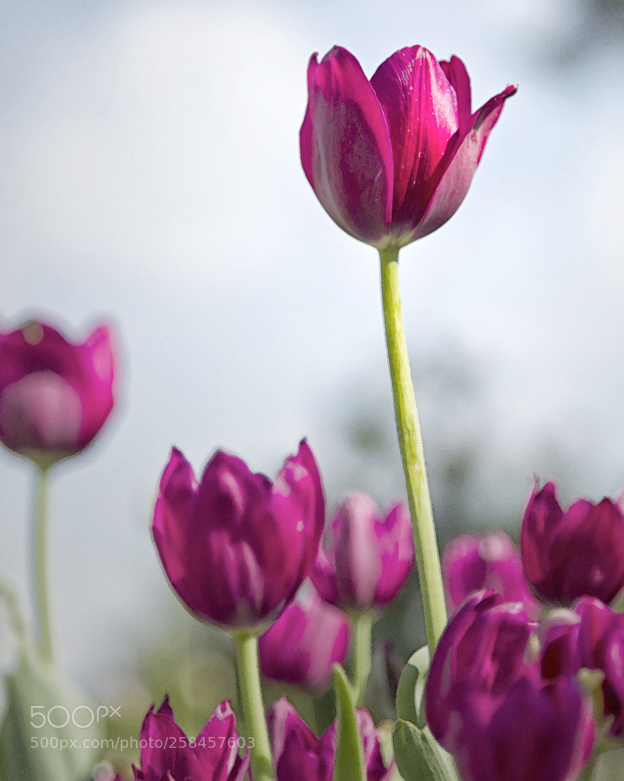 Canon EOS 7D sample photo. 061.jpg photography