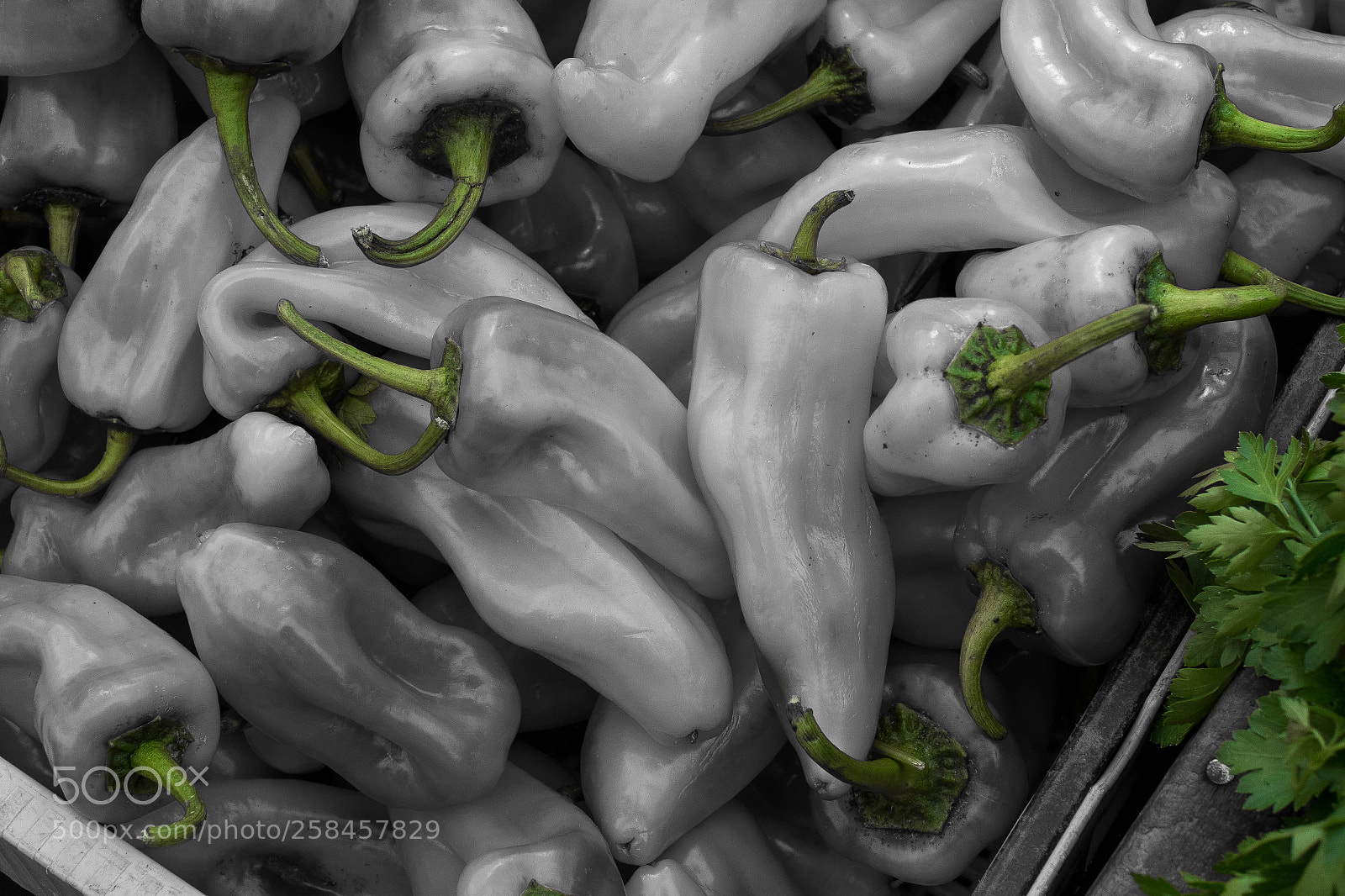 Fujifilm X-Pro1 sample photo. Spot color peppers photography