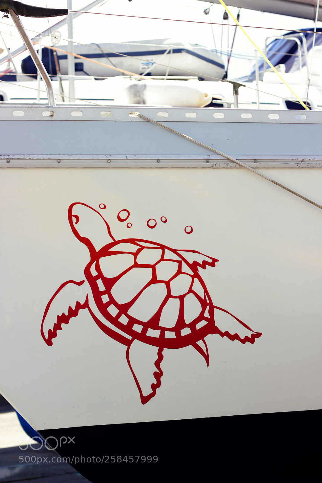 Canon EOS 600D (Rebel EOS T3i / EOS Kiss X5) sample photo. Red turtle photography
