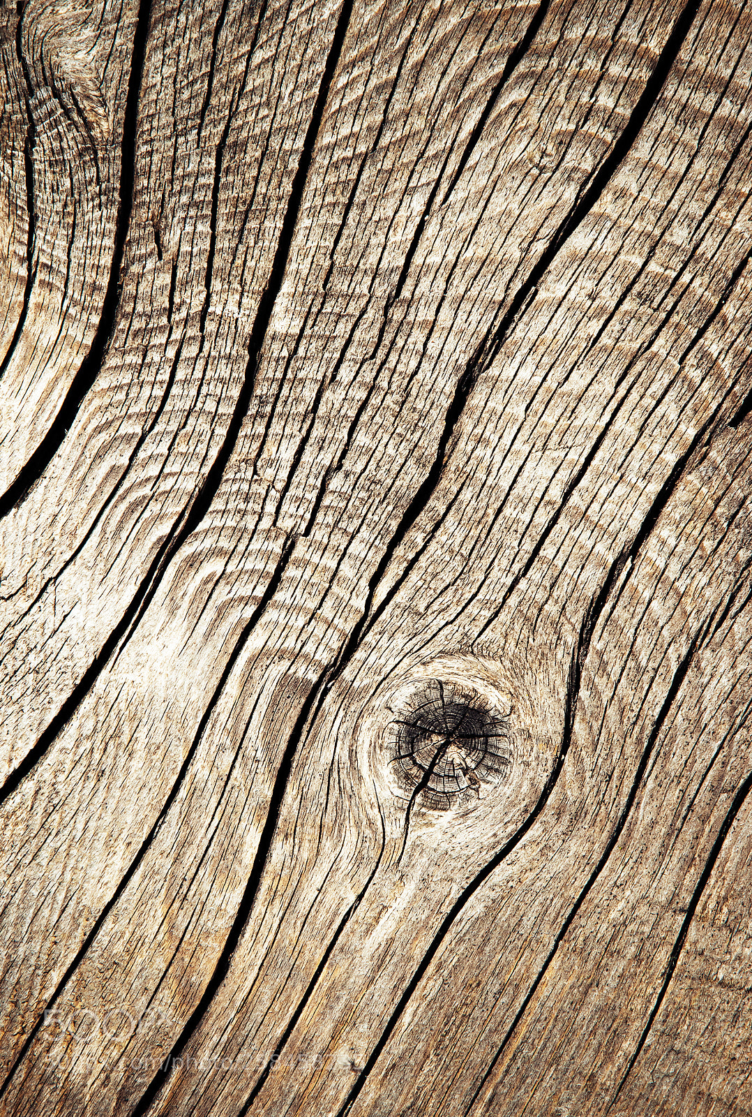 Nikon D5500 sample photo. Detail of old cracked photography