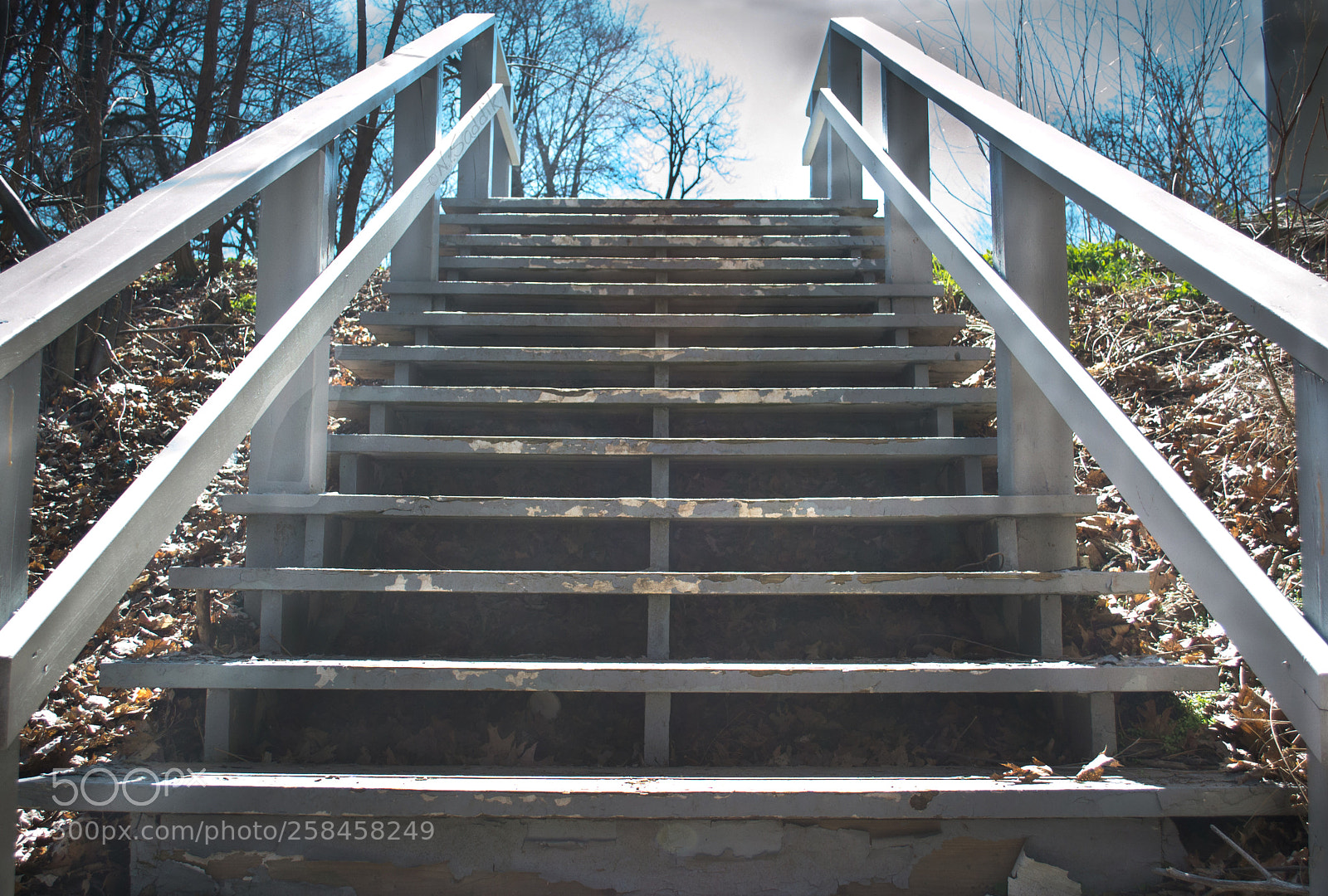 Nikon D3100 sample photo. Leading eye photography