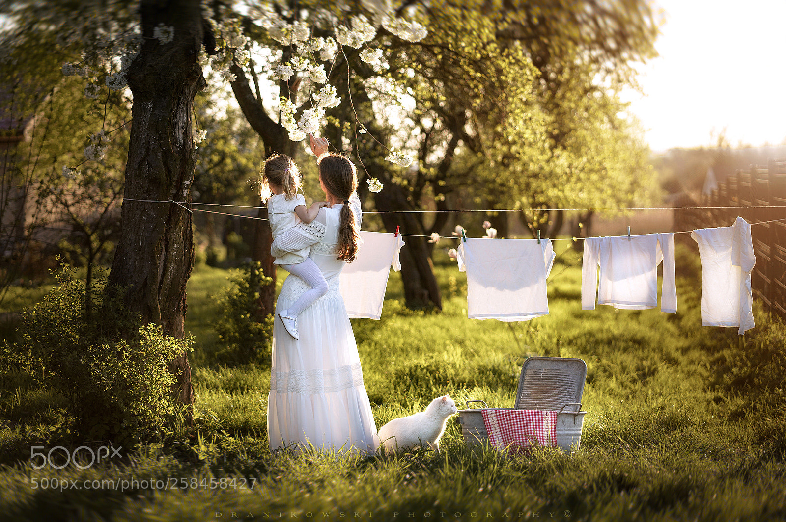 Sony a7R III sample photo. I hang laundry with photography