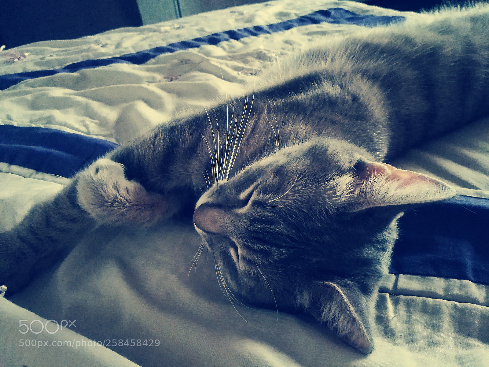HUAWEI P10 lite sample photo. Untitled photography
