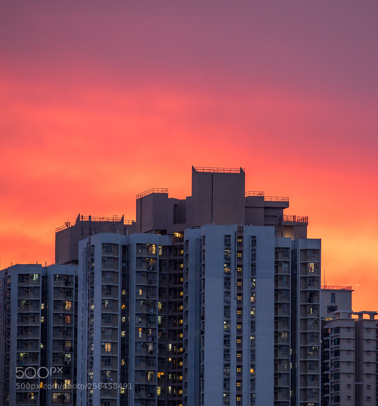 Sony a7 II sample photo. Red photography