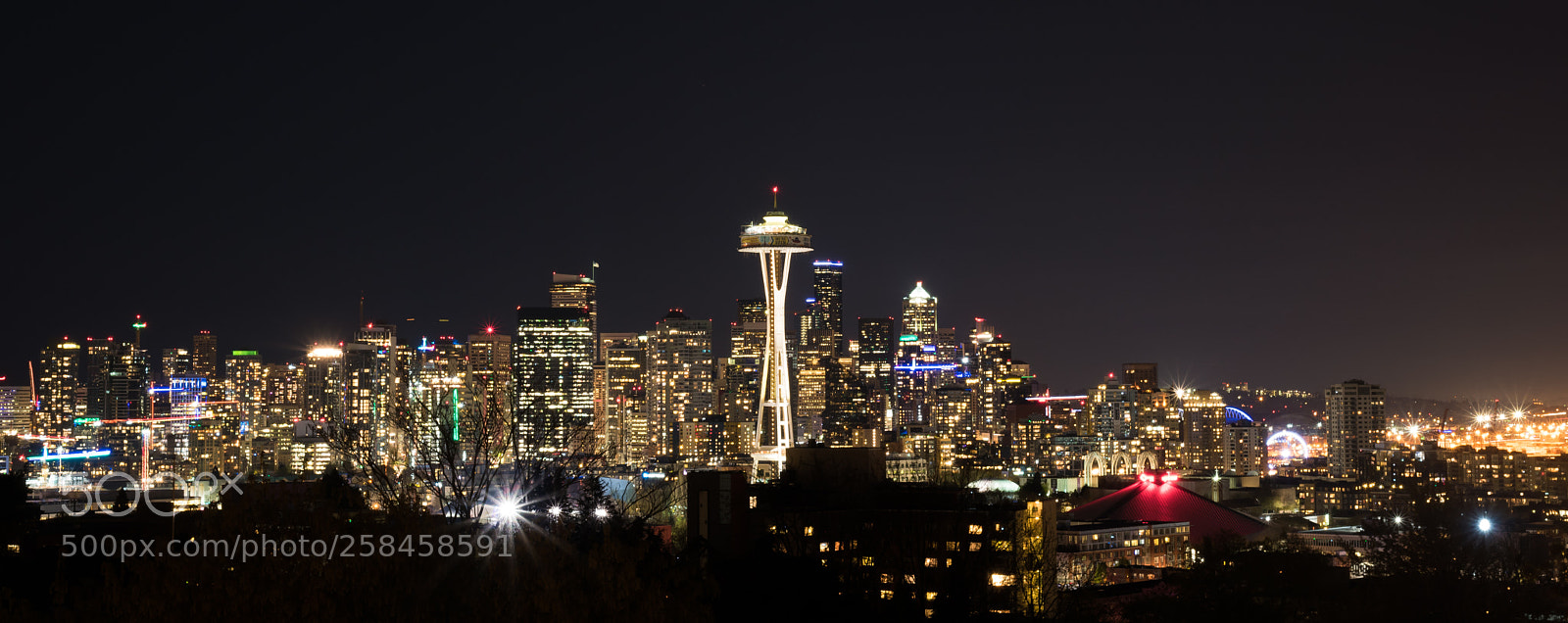 Nikon D750 sample photo. Seattle skyline photography