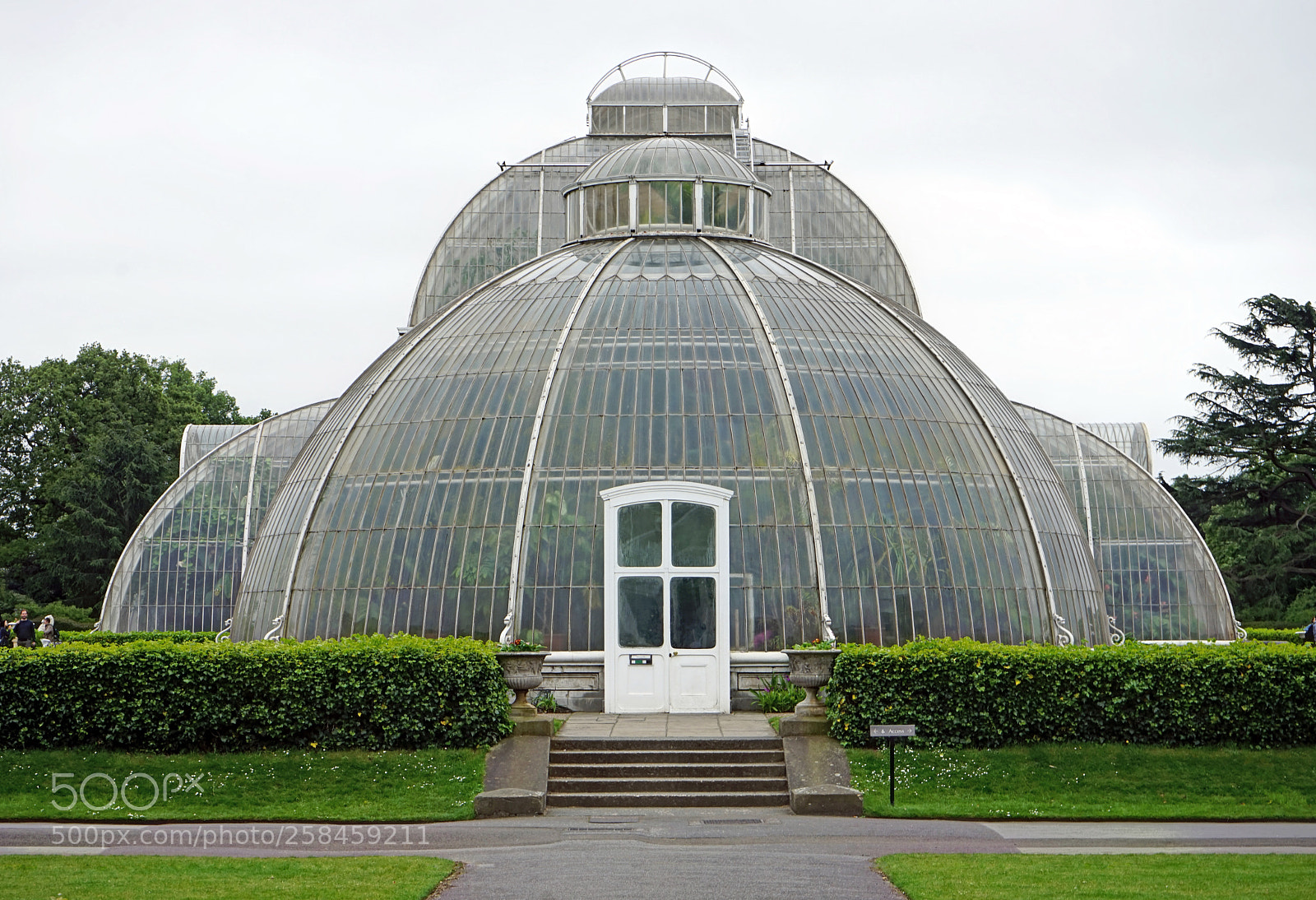 Sony a7 sample photo. Palm house kew gardens photography