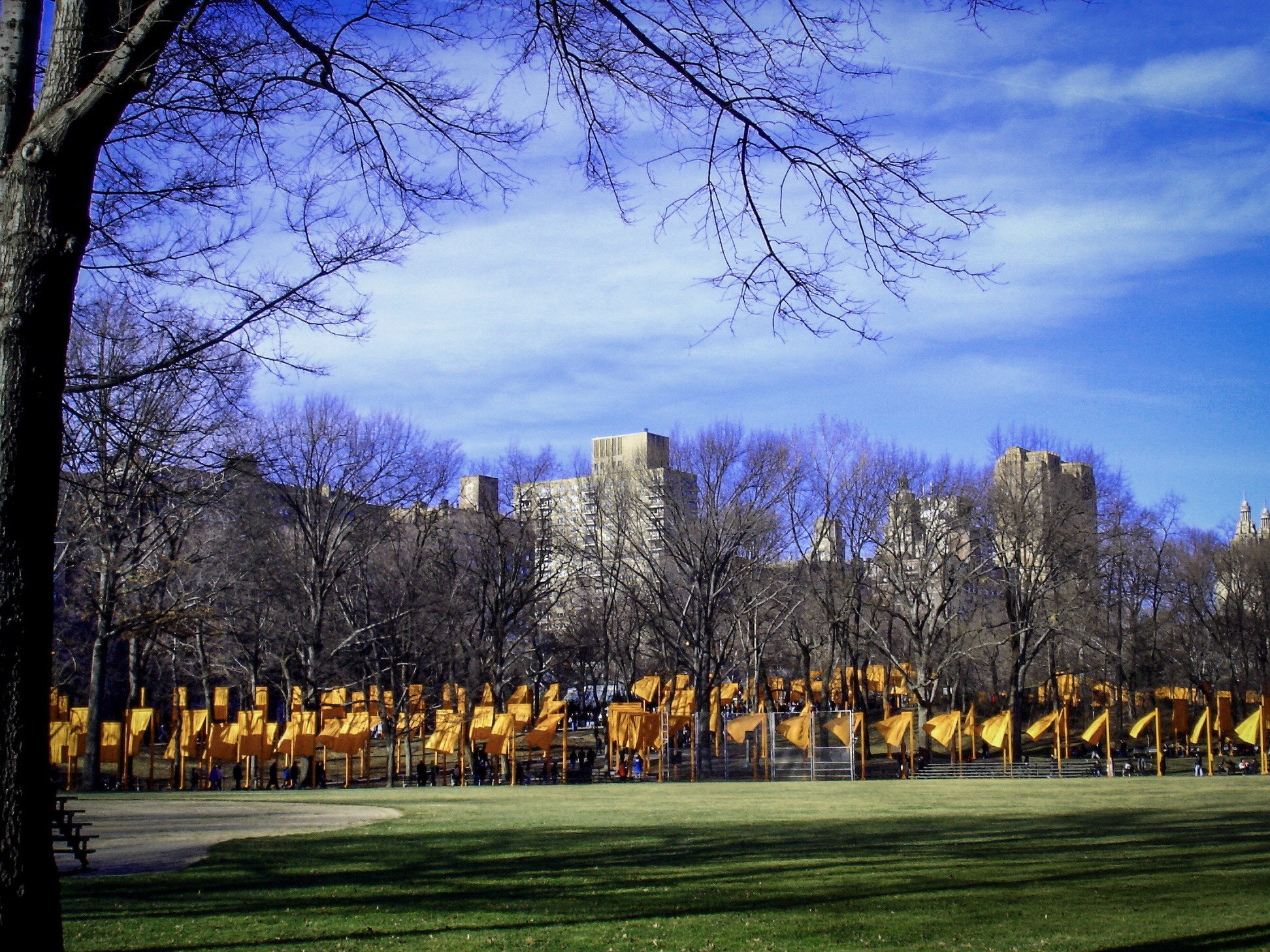 Sony DSC-W1 sample photo. Gates at central park 2005 photography