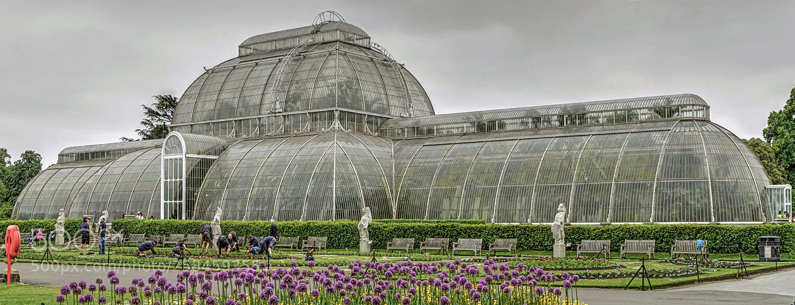 Sony a7 sample photo. Palm house kew gardens photography