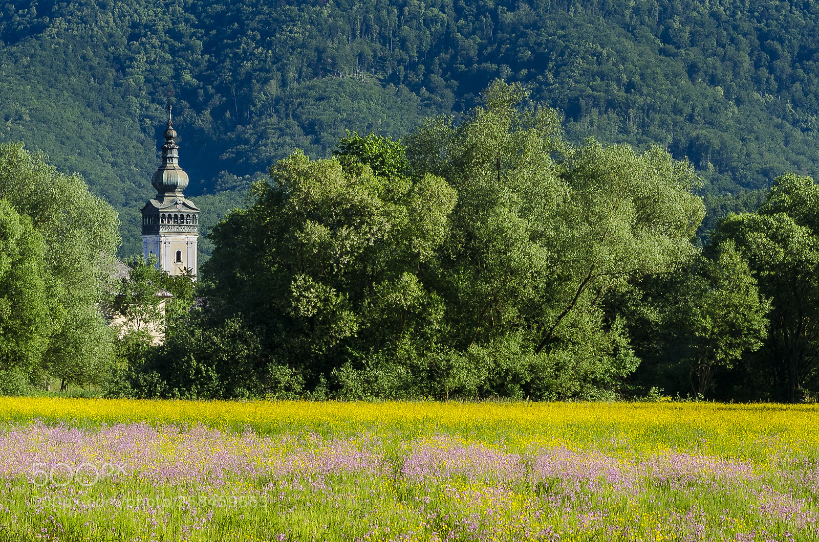 Nikon D7000 sample photo. Revúca in spring photography