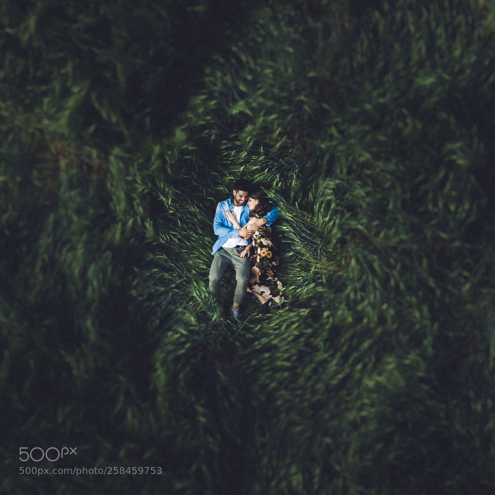 DJI FC220 sample photo. * photography