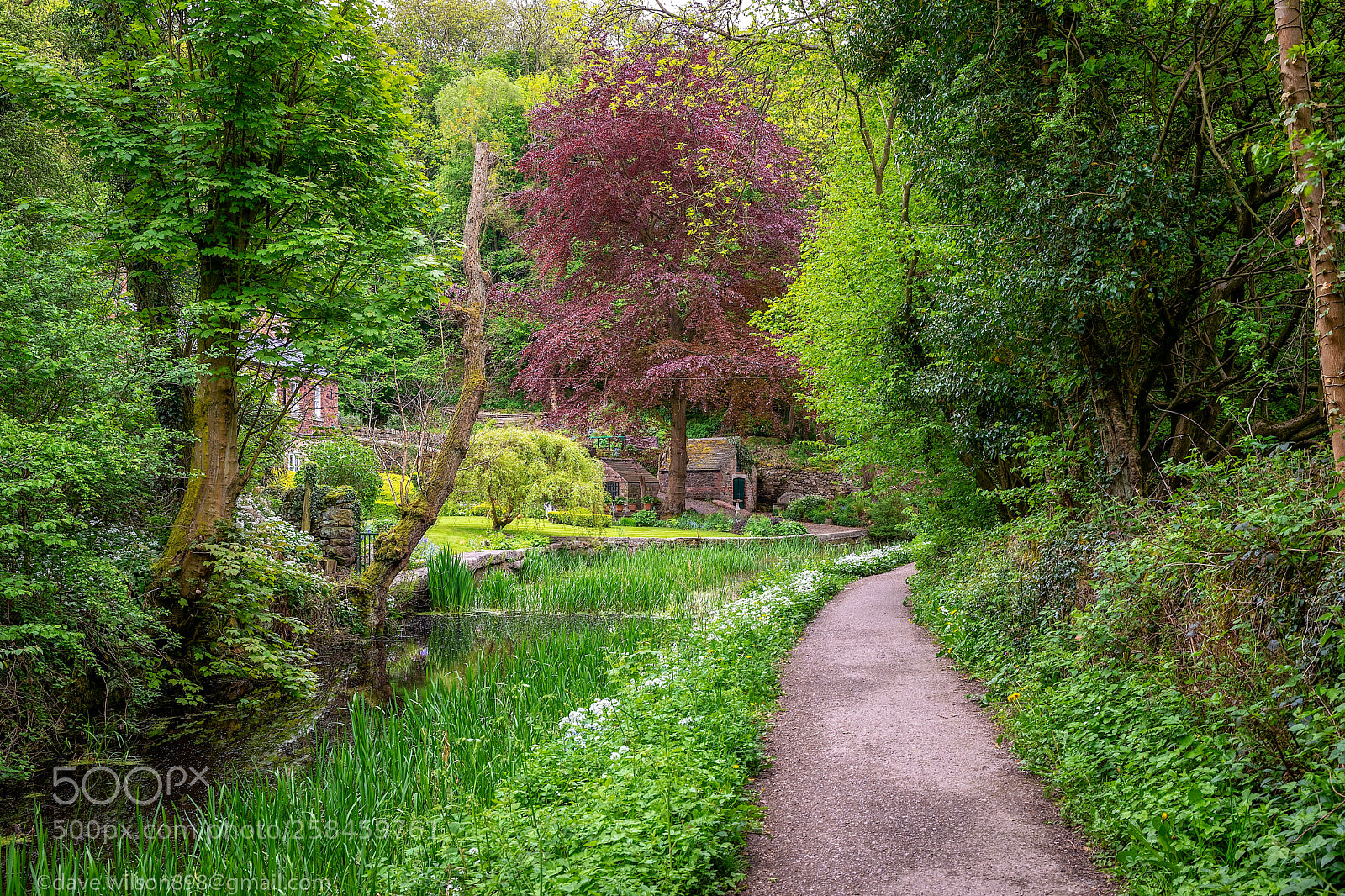 Canon EOS 5D Mark IV sample photo. Canal side photography