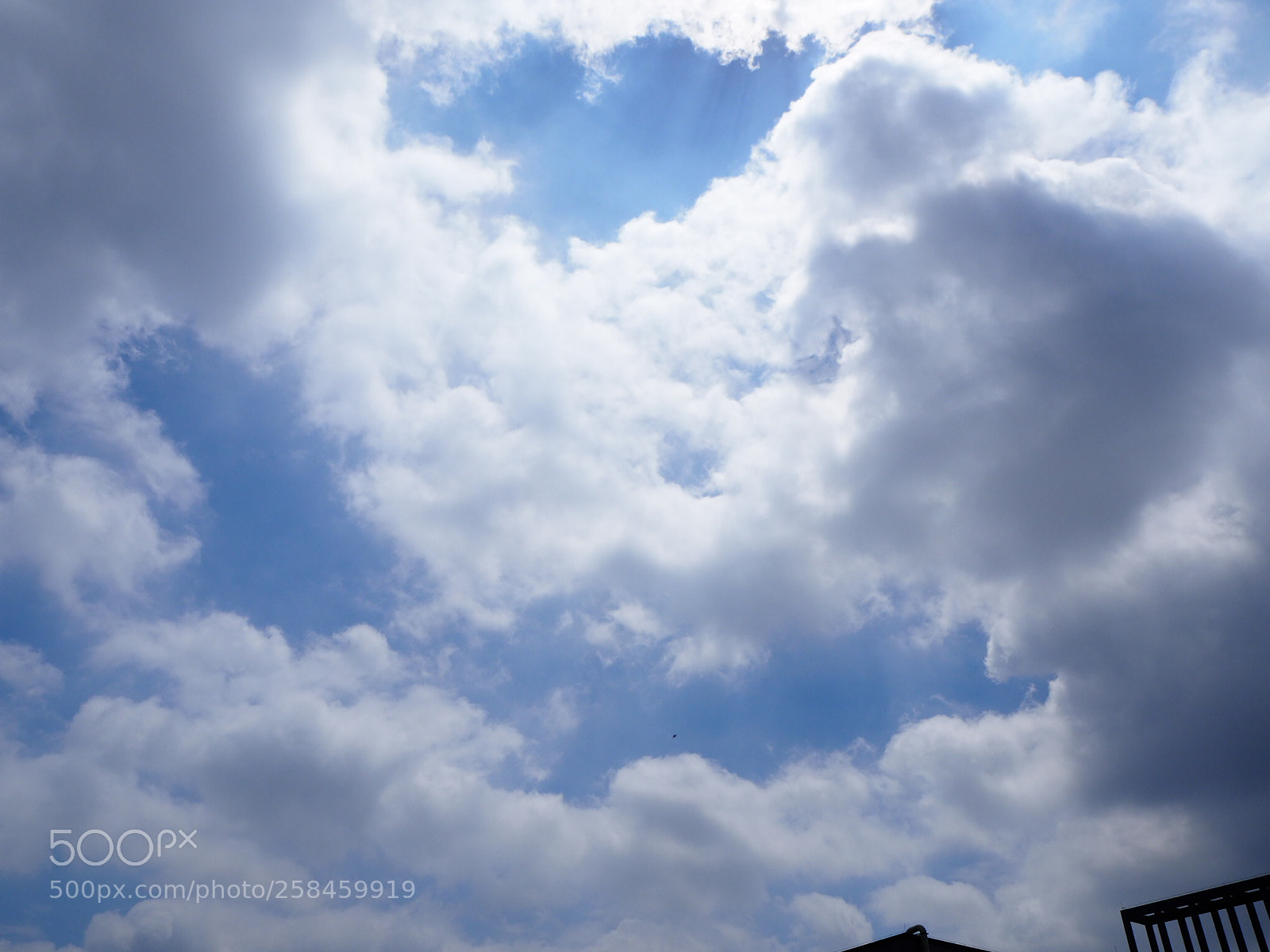 Olympus OM-D E-M10 II sample photo. Blue photography