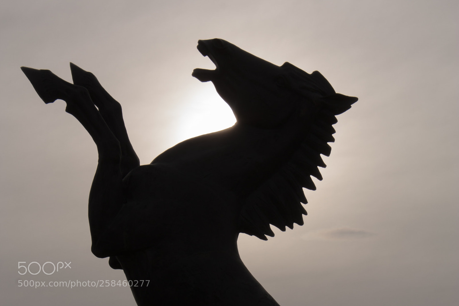 Canon EOS 450D (EOS Rebel XSi / EOS Kiss X2) sample photo. Horse sculpture photography